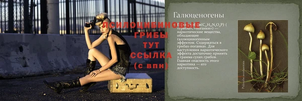 кокс Липки