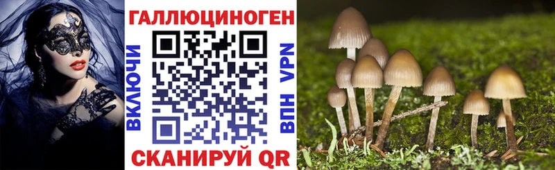 что такое   Медвежьегорск  OMG tor  Галлюциногенные грибы Psilocybine cubensis 